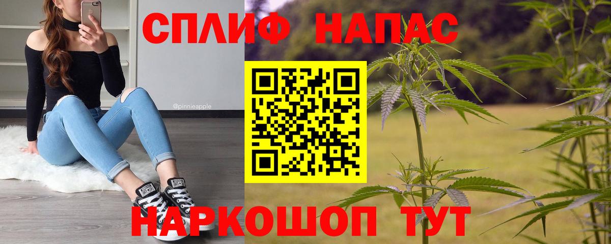 Каннабис планчик  Бошки Шишки семена  Вход с VPN  Марихуана сатива  Краснознаменск  Шишки марихуана MAZAR 
