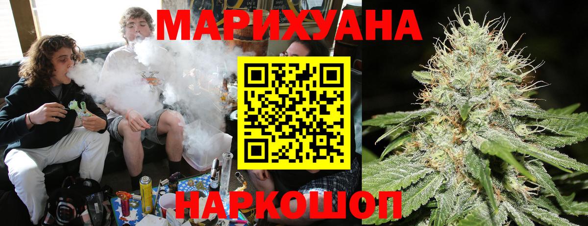 Каннабис сатива Краснознаменск